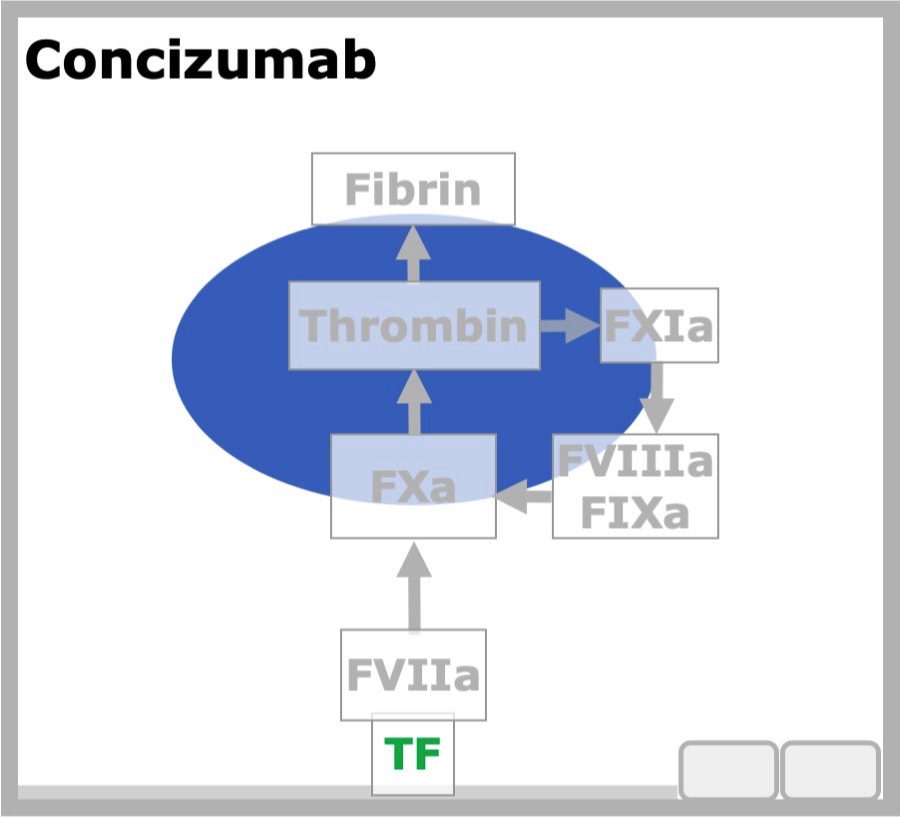 Conzizumab