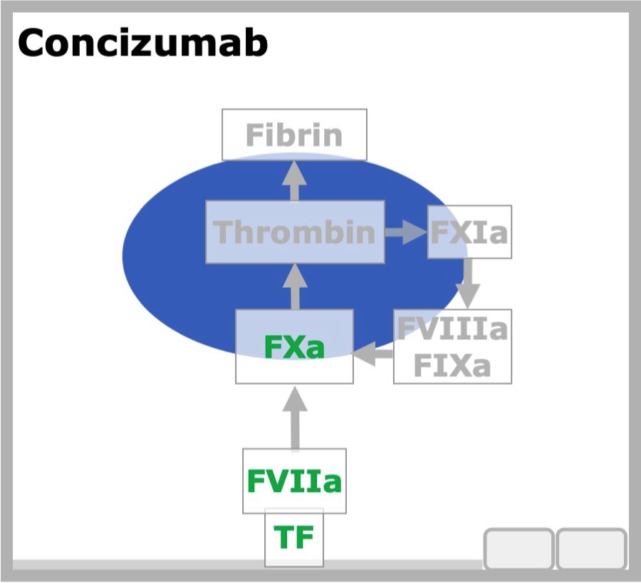 Conzizumab
