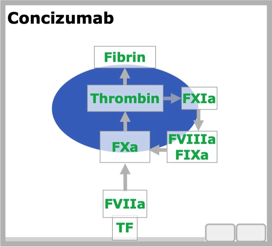 Conzizumab