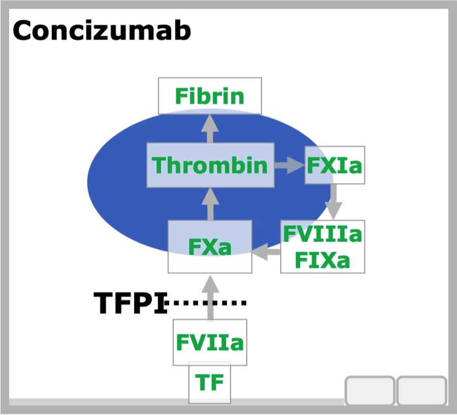 Conzizumab