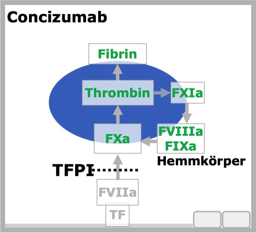 Conzizumab