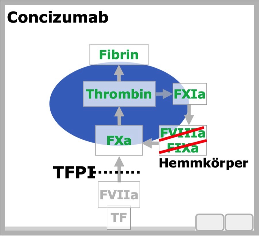Conzizumab