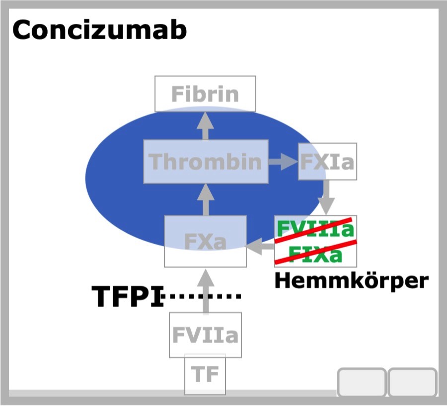 Conzizumab