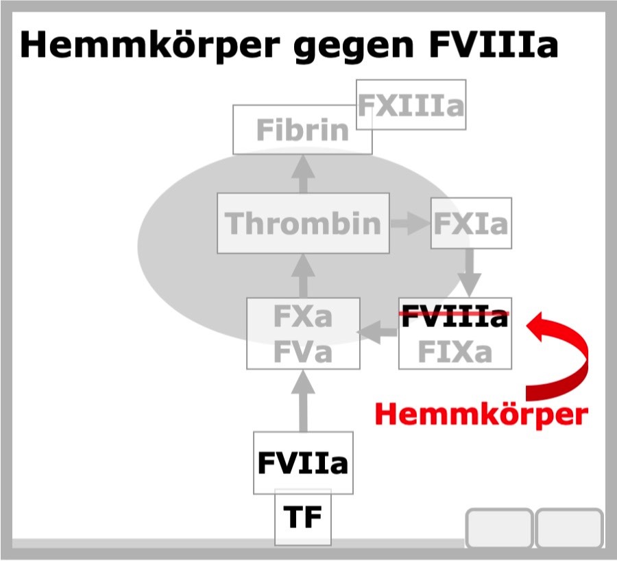 rFVIIa