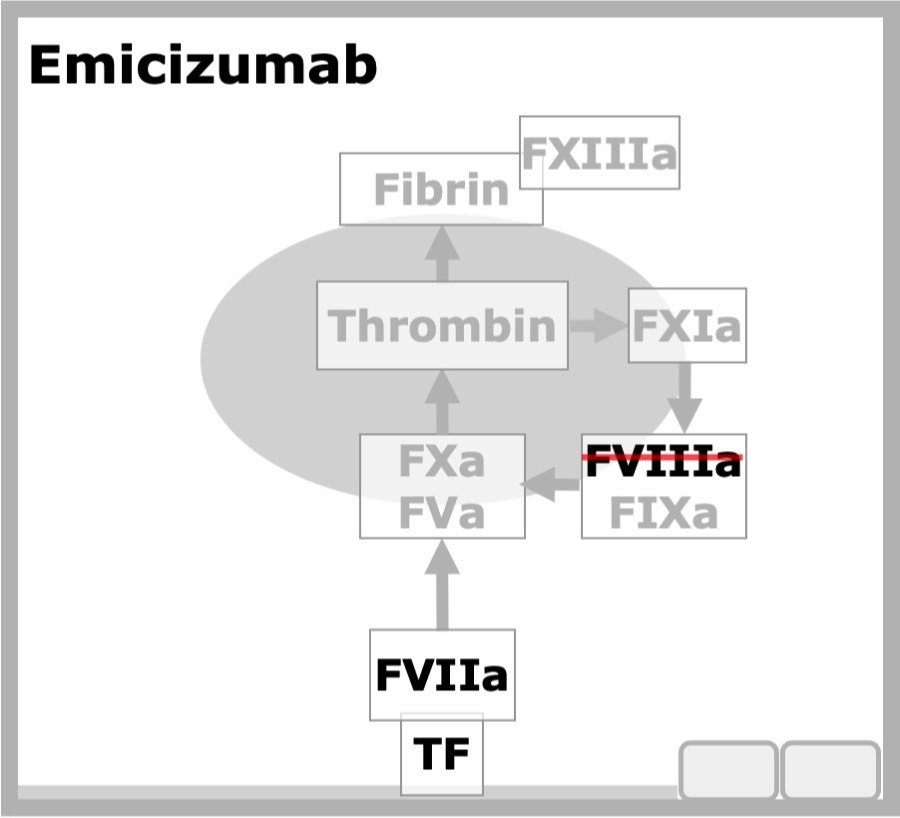 rFVIIa