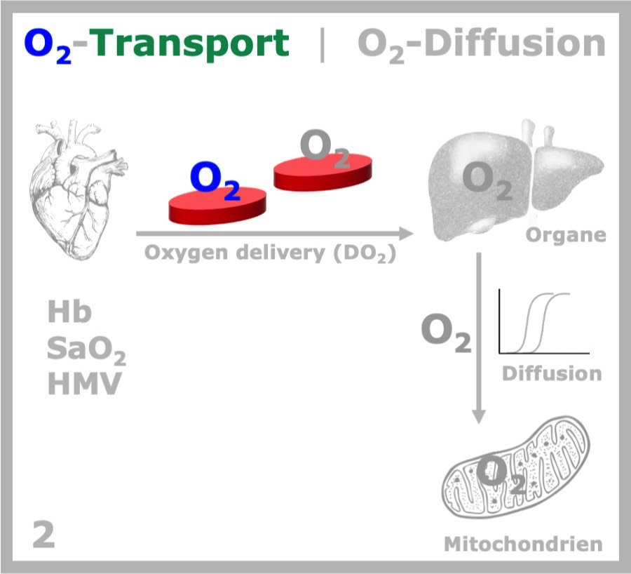 DO2 & O2-Diffusion