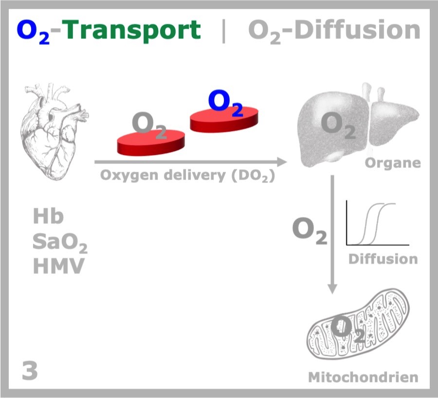 DO2 & O2-Diffusion