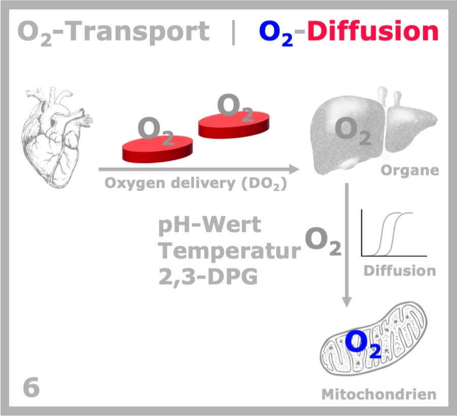 DO2 & O2-Diffusion