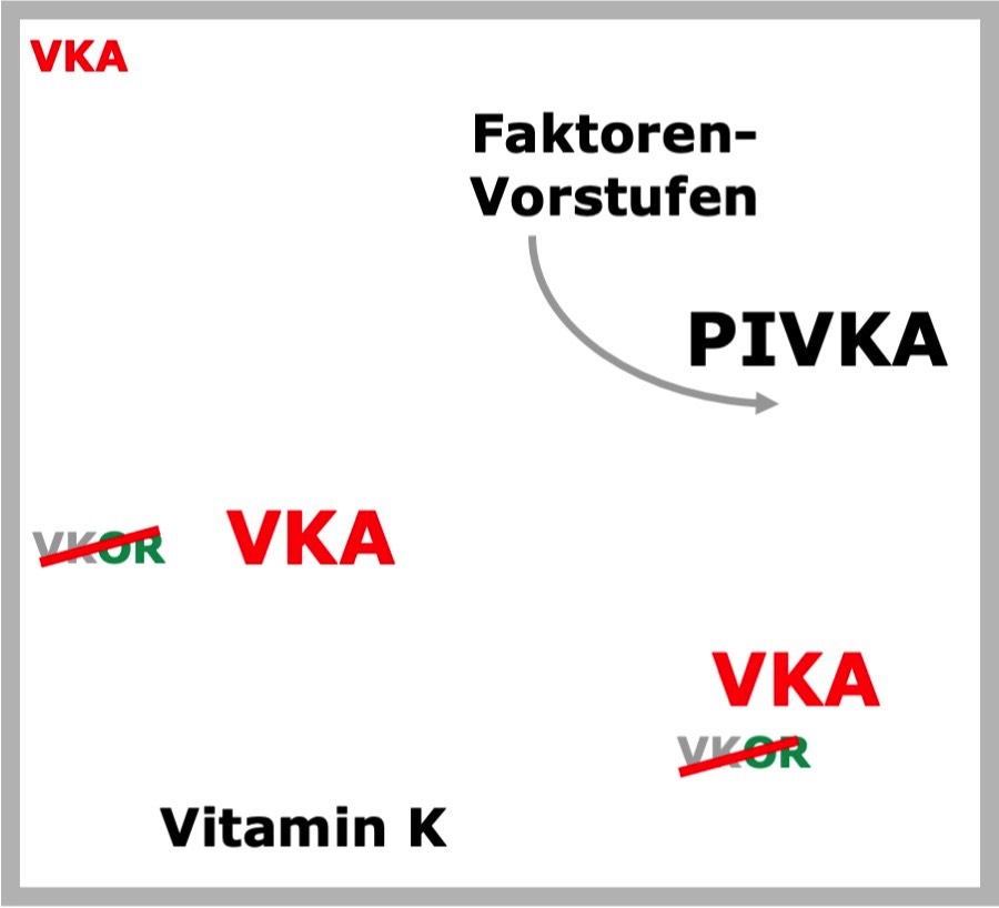 Movie VKA