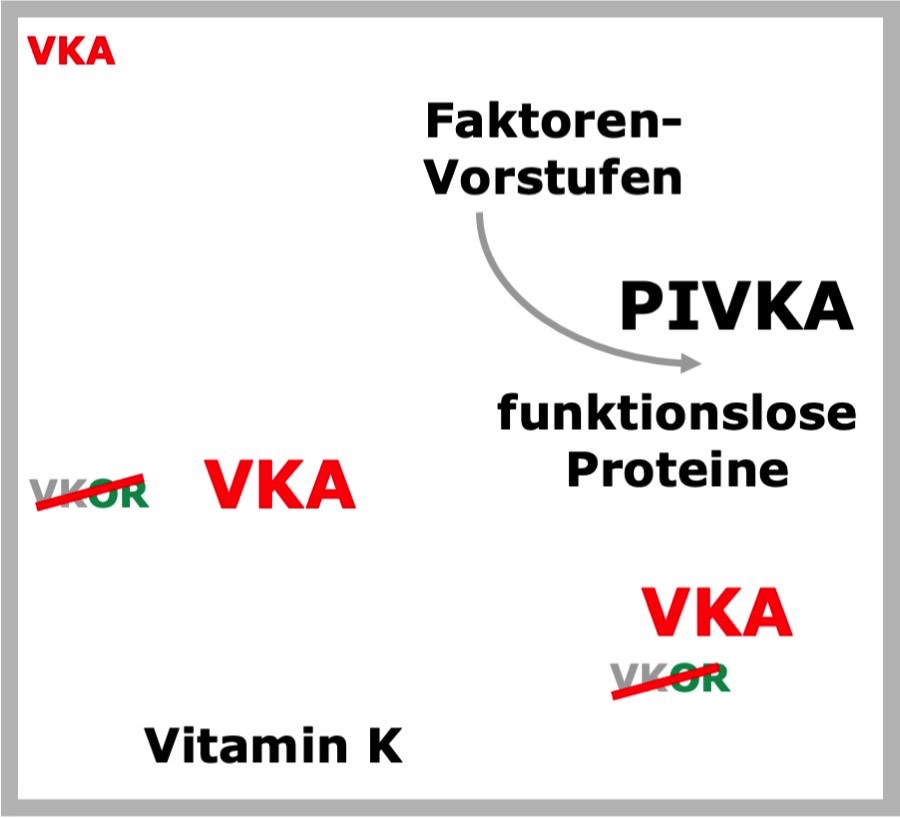 Movie VKA