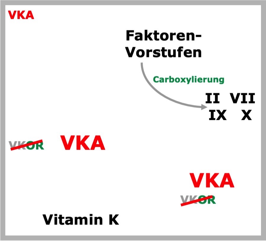 Movie VKA