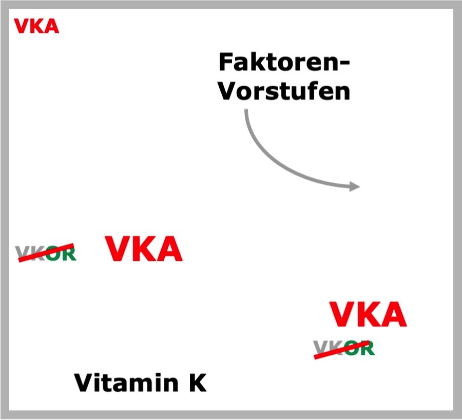 Movie VKA