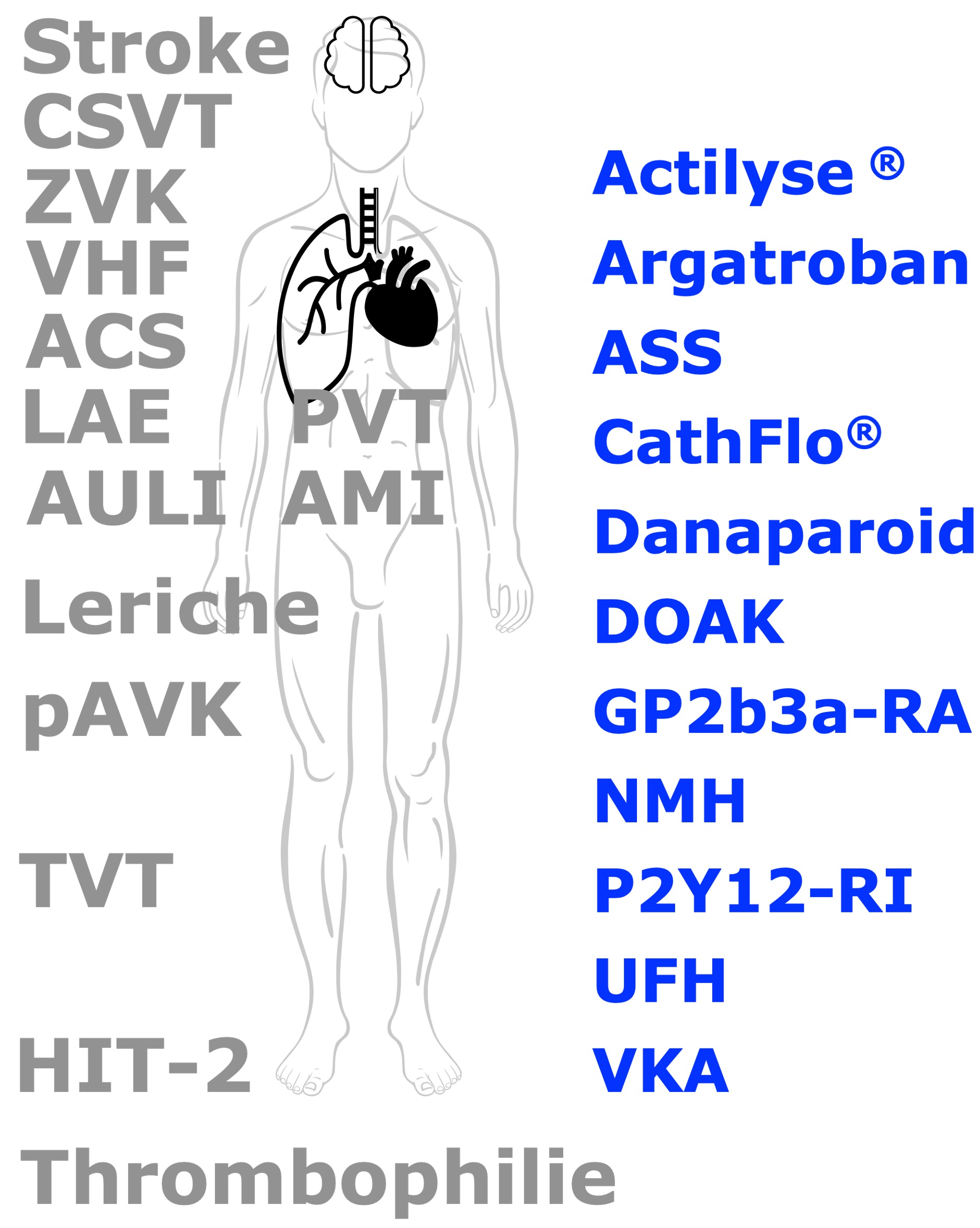 Image Map