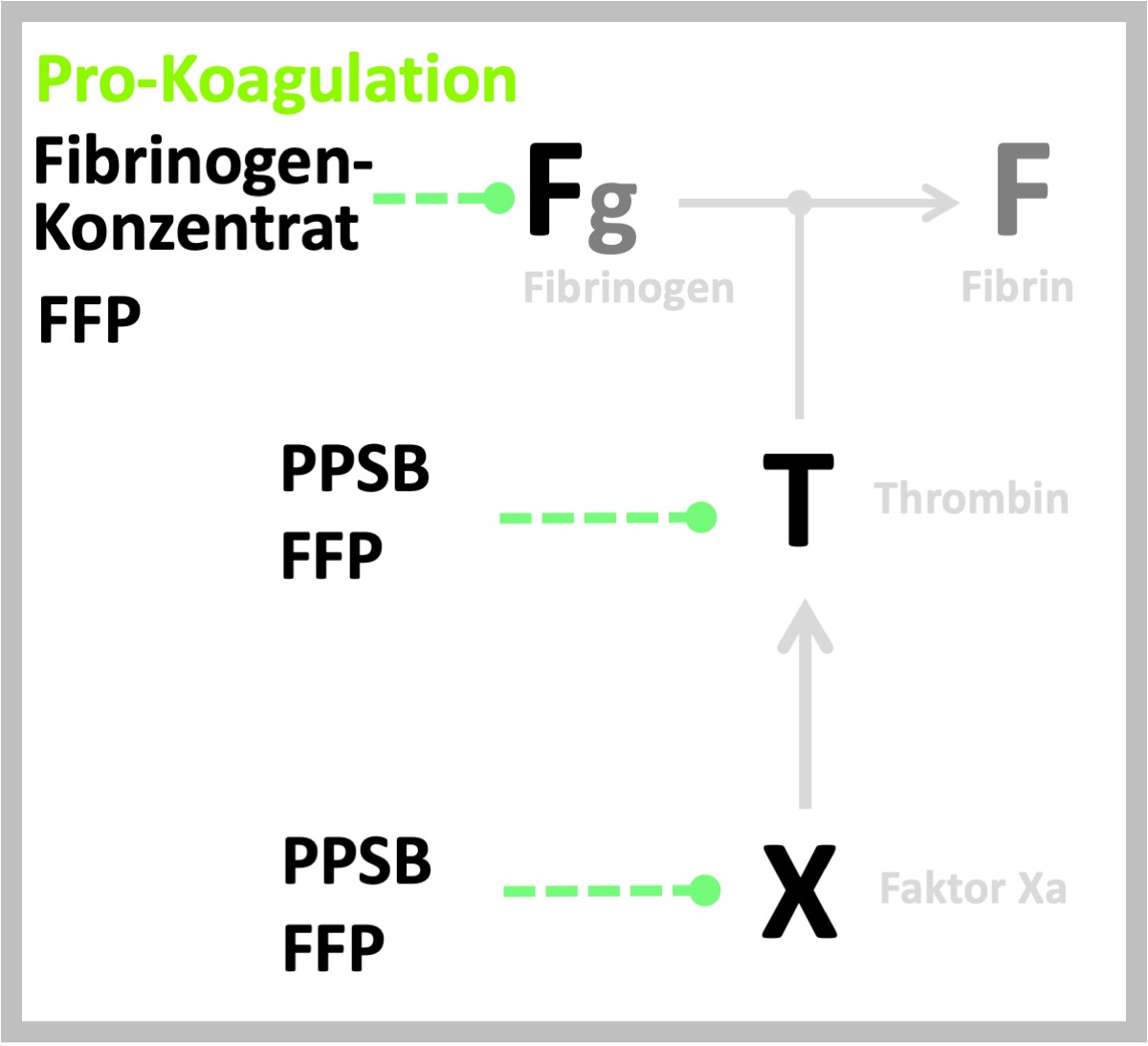 Image Map