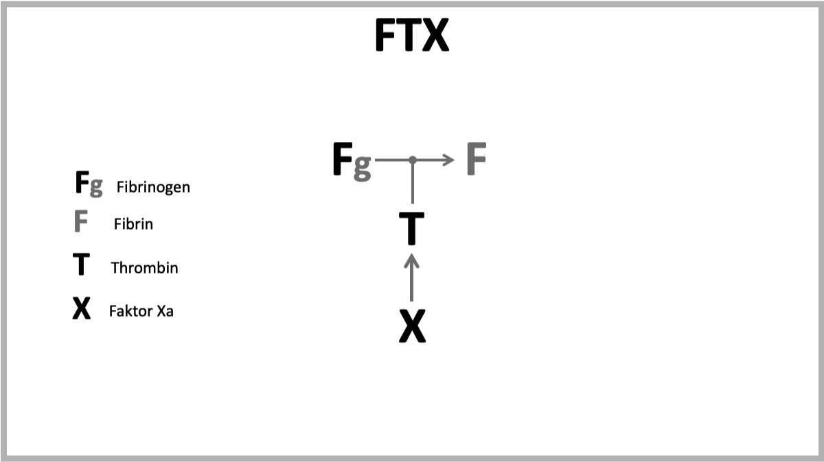 FTX - Konzept