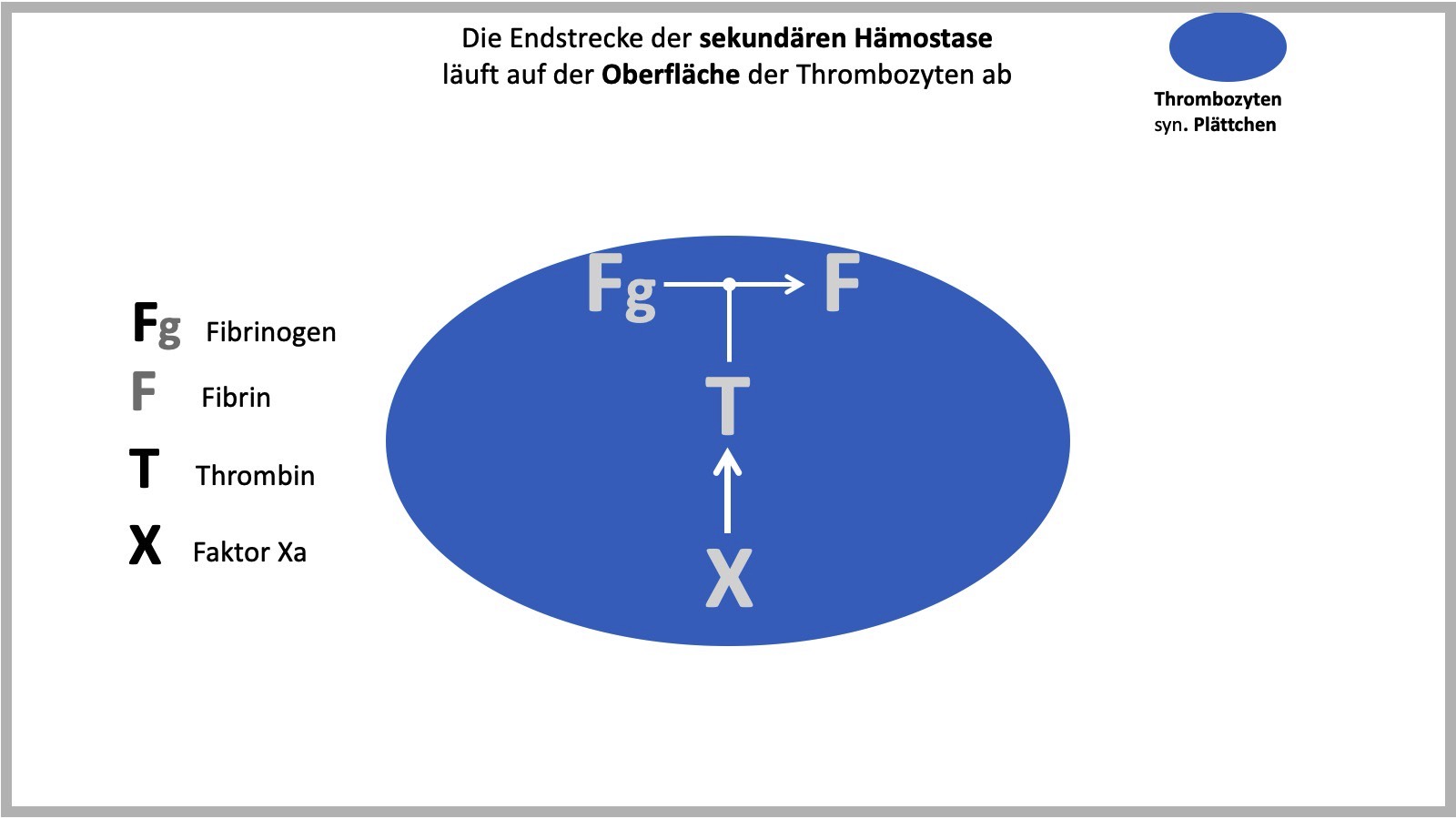 FTX - Konzept