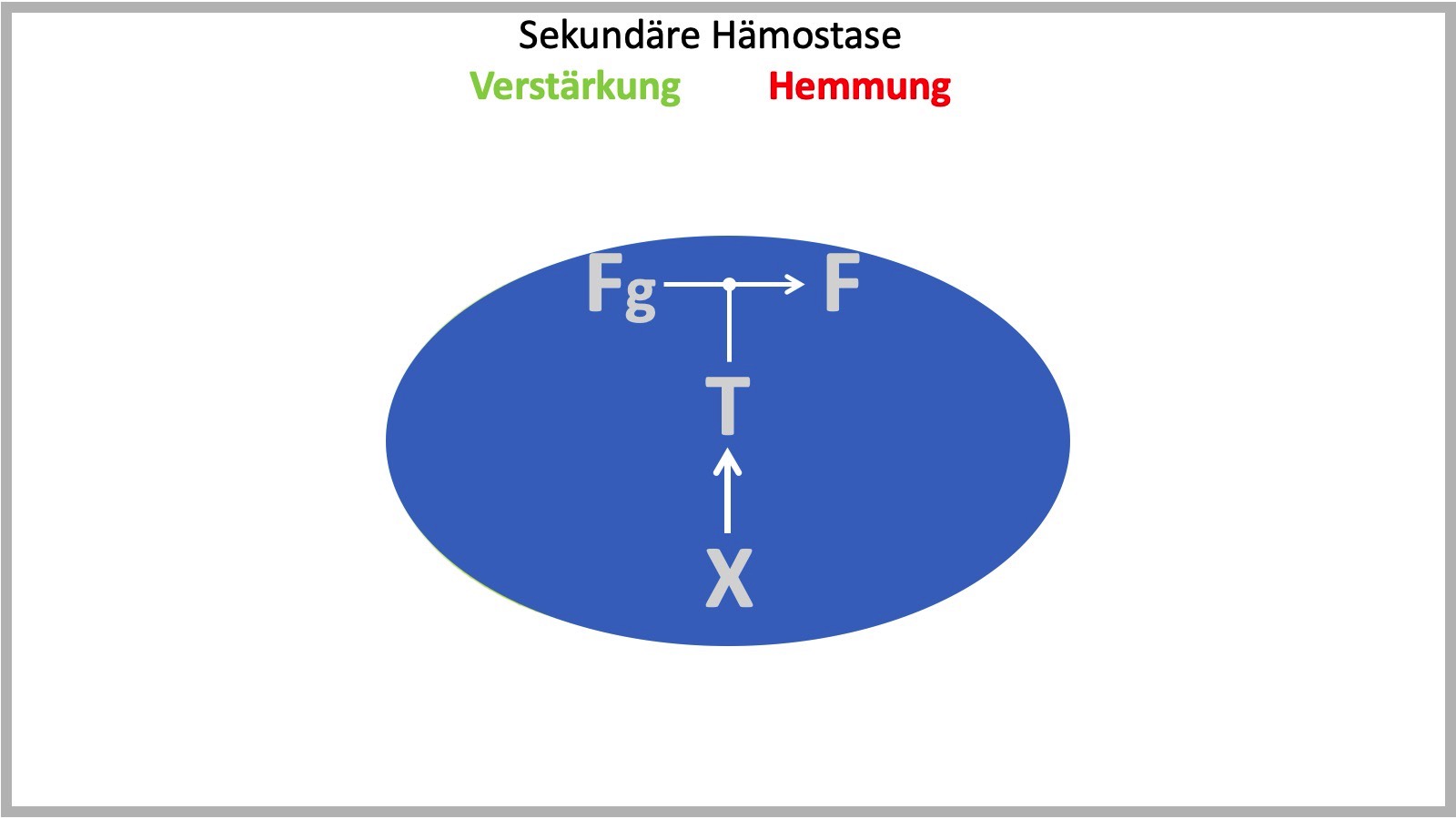FTX - Konzept