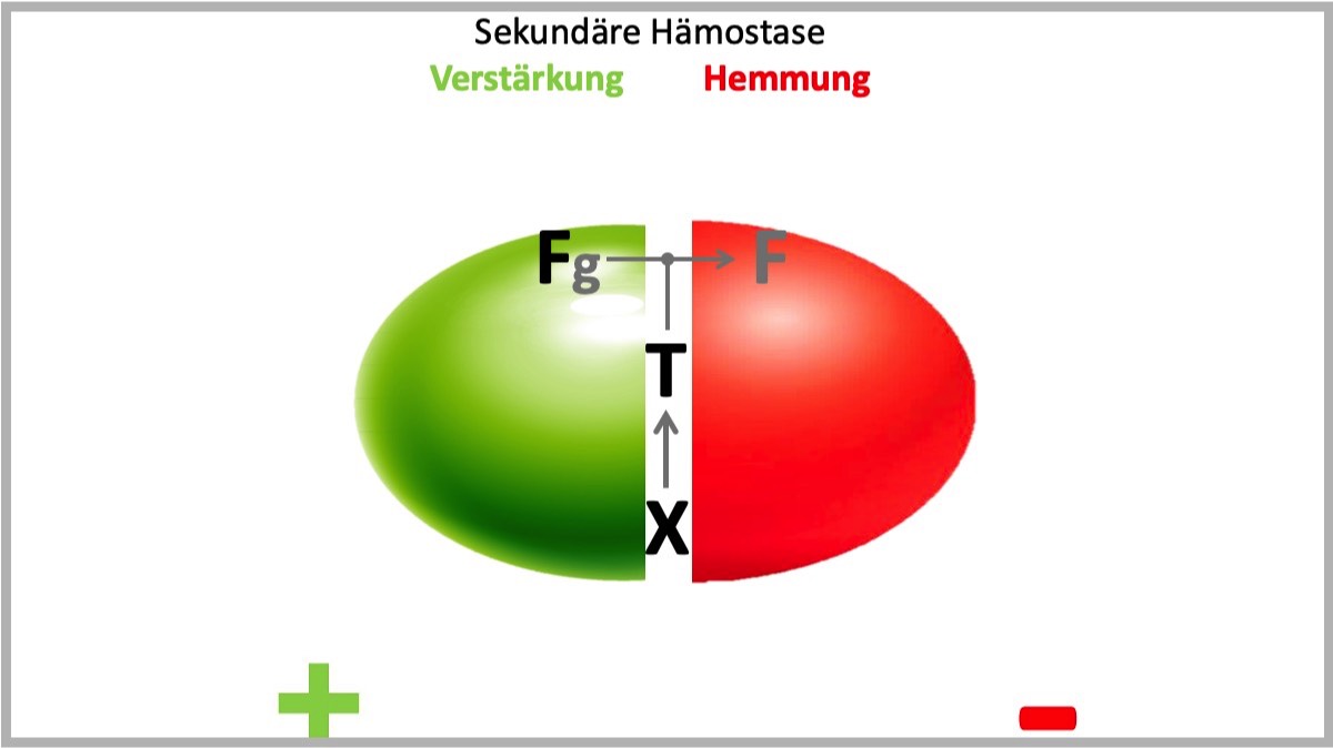 FTX - Konzept