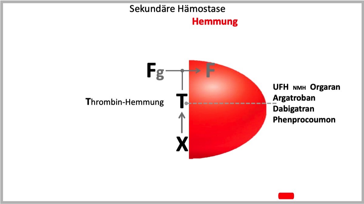 FTX - Konzept