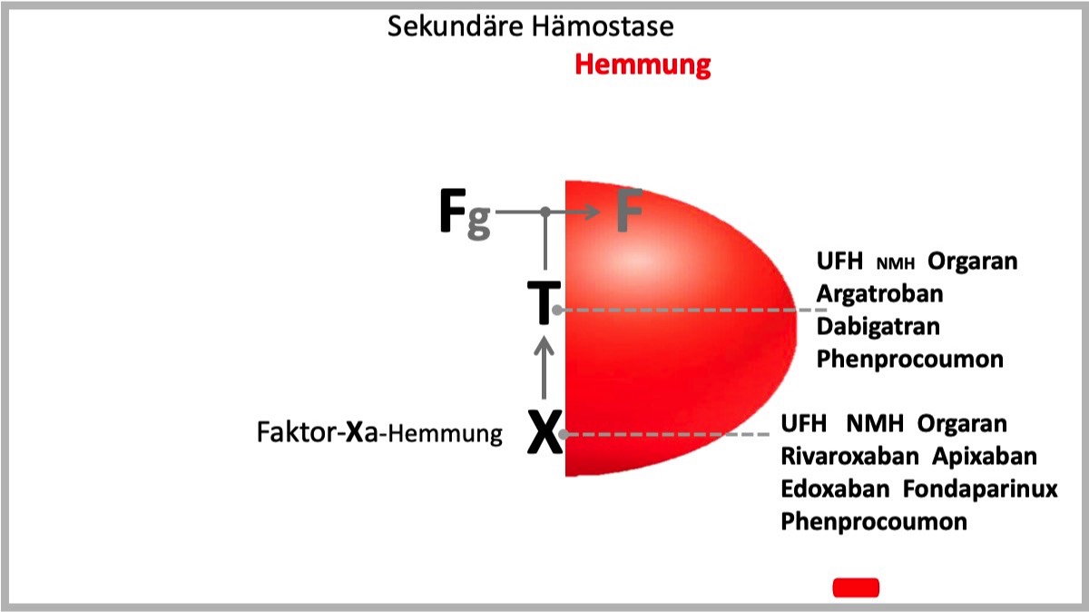 FTX - Konzept
