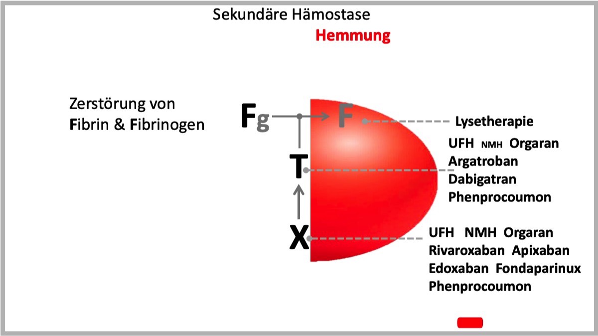 FTX - Konzept