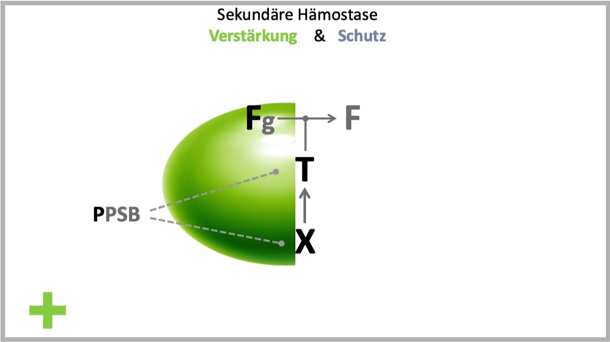 FTX - Konzept