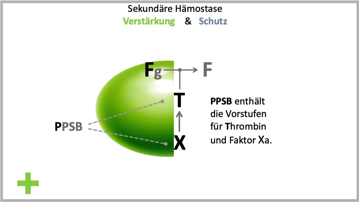 FTX - Konzept