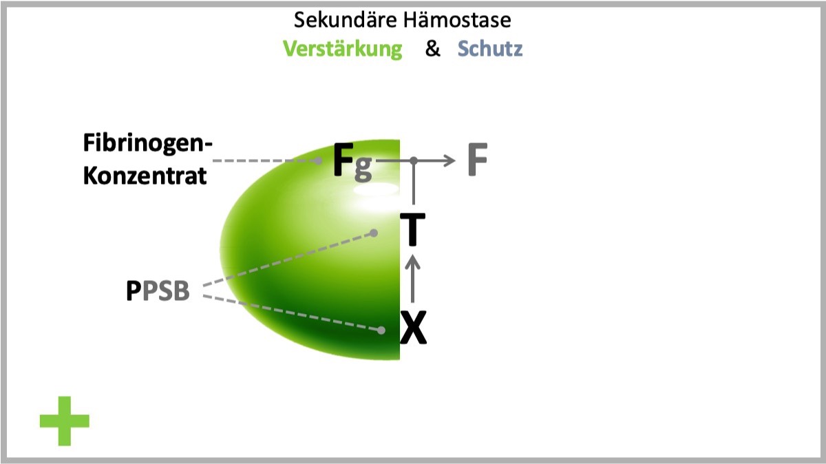 FTX - Konzept