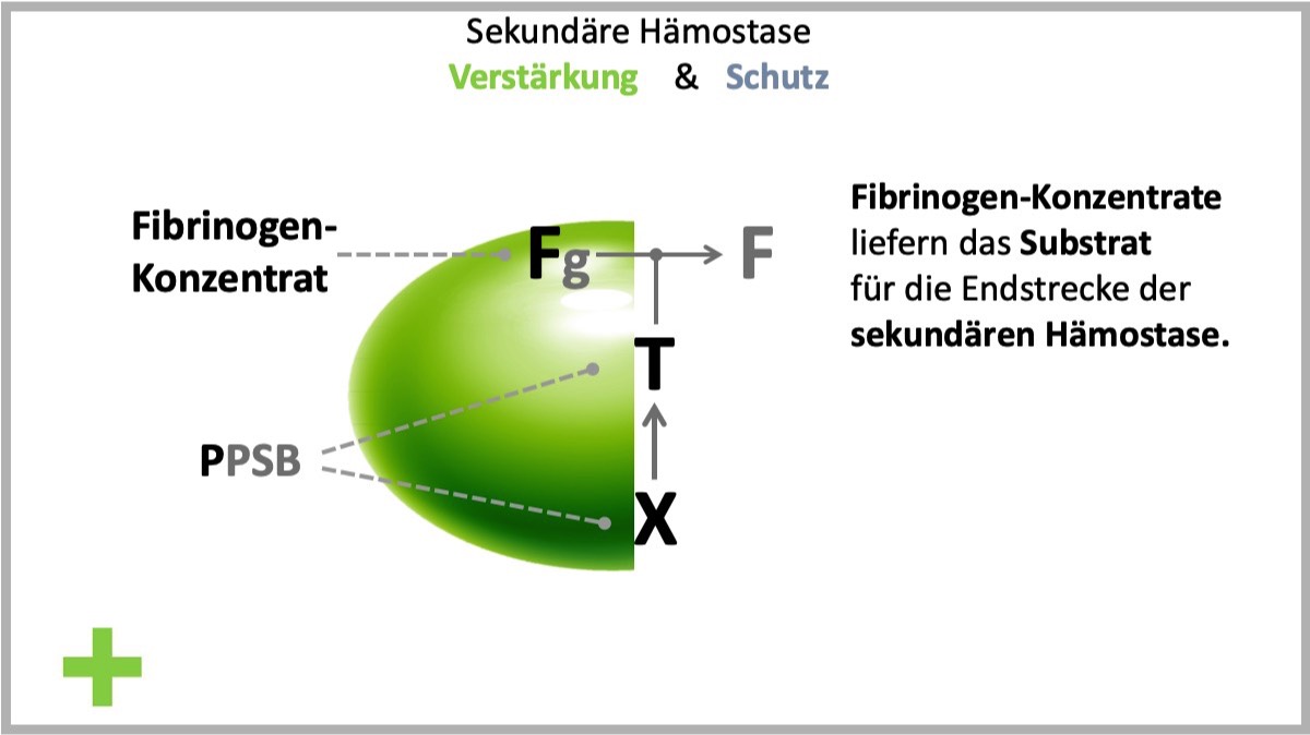 FTX - Konzept
