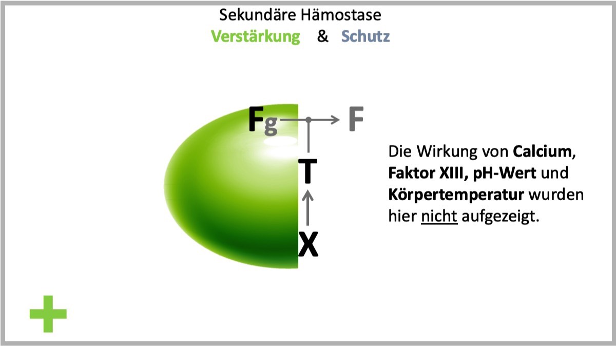 FTX - Konzept