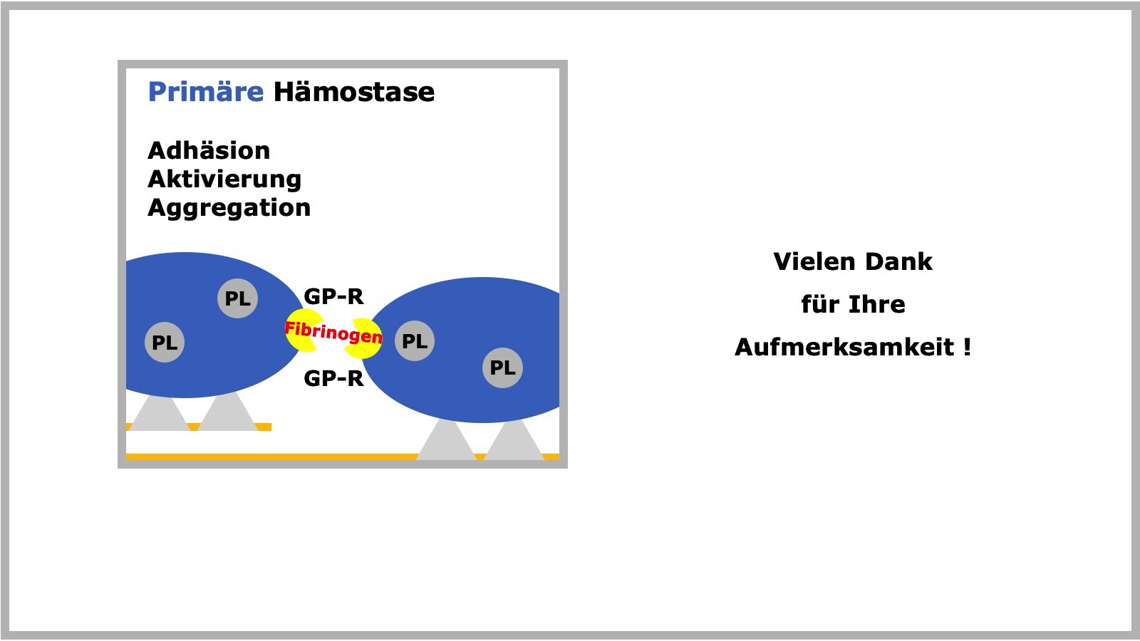 Primäre Hämostase