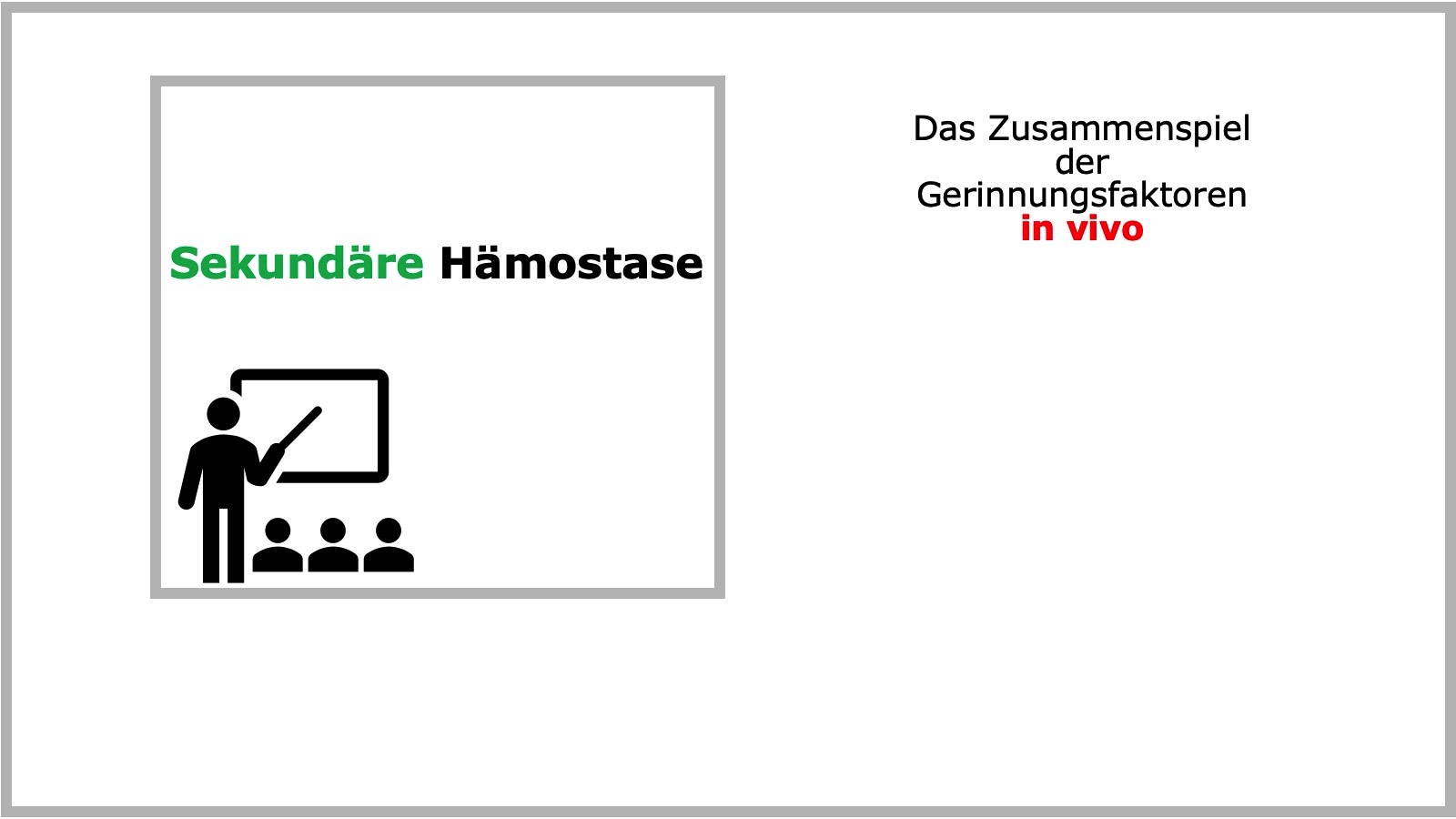 Sekundäre Hämostase