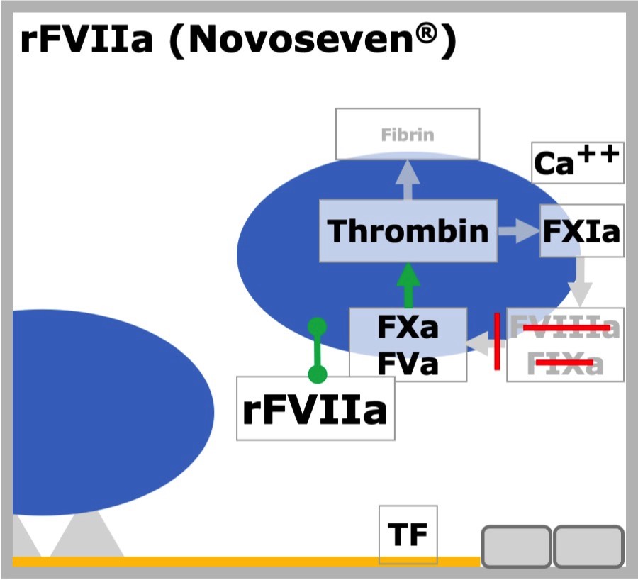 rFVIIa