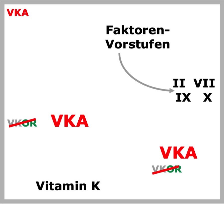 Movie VKA